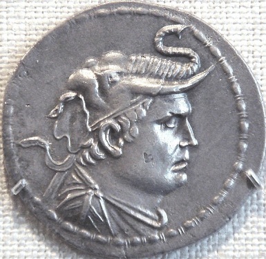 Demetrius I King of Greco-Bactria ca 200-180 BCE The Metropolitan Museum of Art  NYC photo by Uploadalt 2008